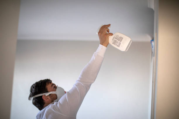 Best Fast Mold Removal  in Brighton, AL