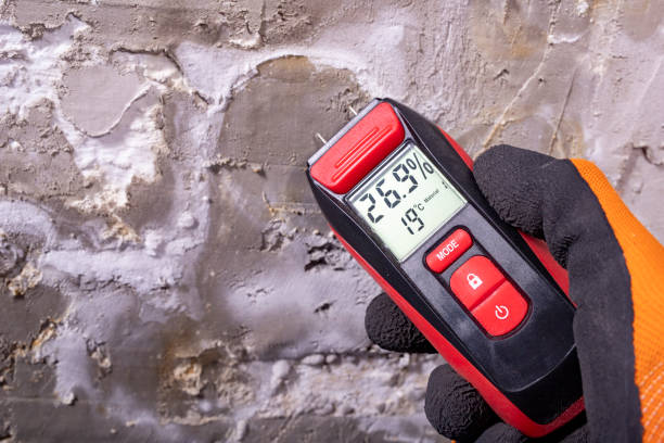 Best Crawl Space Mold Removal  in Brighton, AL