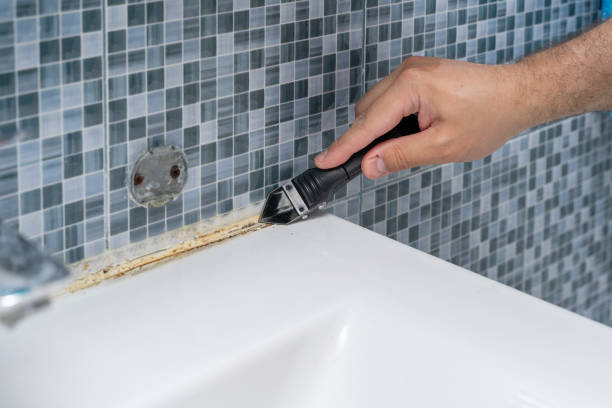 Best Home Mold Removal  in Brighton, AL